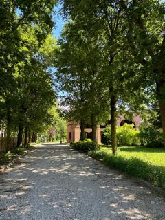 Portego mio - Selvazzano Dentro - 9
