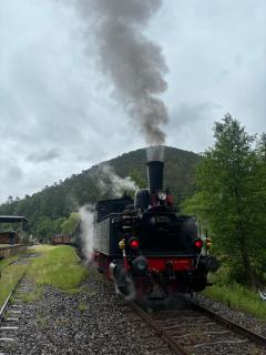 Pension Ernst im Herzen des Pfälzerwaldes mit Küche - 9