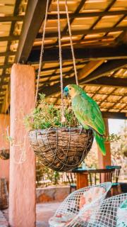 Pousada Castanho - 5