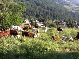 Luminoso monolocale panoramico - 3