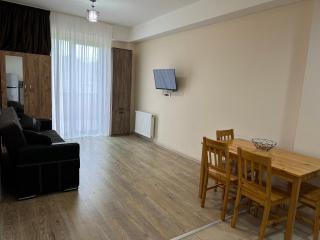 Bakuriani Plaza A406 - Bakuriani - 5