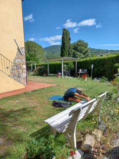 Agriturismo Il Gelso - Pomaia - 7