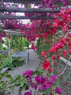 G&C Home - Amalfi - 3