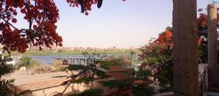 Quiet house on the Nile River - 8
