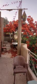 Quiet house on the Nile River - 4