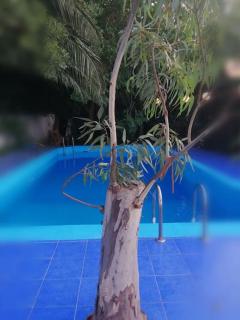 Liberty - Porto Rafti - 6