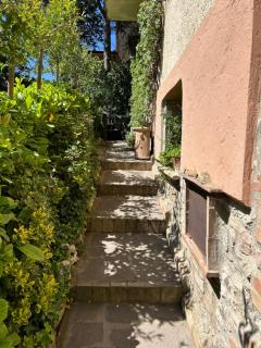 Casa vacanze San Rocco - San Venanzo - 1