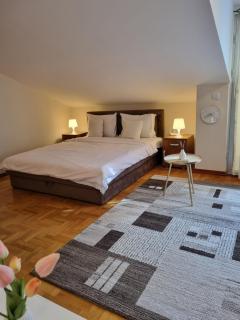 Studio apartman Ema - centar, kruzni tok - 0