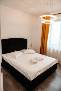 Central Nest - Turda - 8