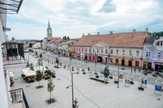 Central Nest - Turda - 9