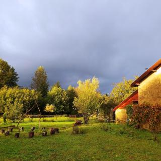 Ohikoa - Saint-Étienne-dʼOrthe - 0