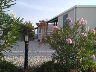 Agriturismo & Agricamping Serena - 8