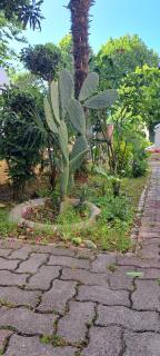 Domus Le Palme - 3