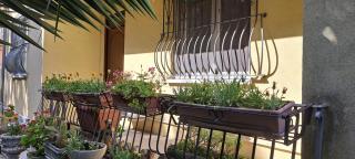 Domus Le Palme - Fano - 7