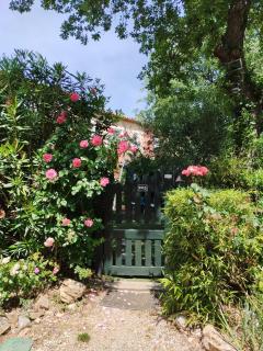 La Rose des Claux - Fayence - 8