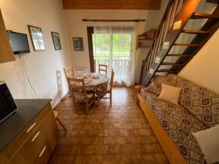 Studio avec mezzanine, balcon et parking à Châtel, proche des remontées mécaniques - FR-1-693-17 - Châtel - 9