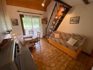 Studio avec mezzanine, balcon et parking à Châtel, proche des remontées mécaniques - FR-1-693-17 - Châtel - 6