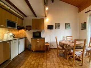 Studio avec mezzanine, balcon et parking à Châtel, proche des remontées mécaniques - FR-1-693-17 - Châtel - 2
