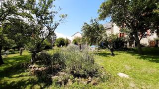 la maillitardaise - 5