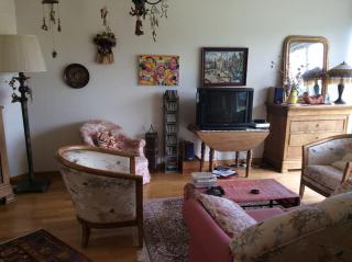 Picherieux - Saint-Denis-en-Val - 9