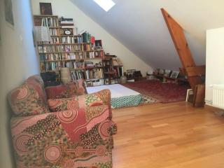 Picherieux - Saint-Denis-en-Val - 2