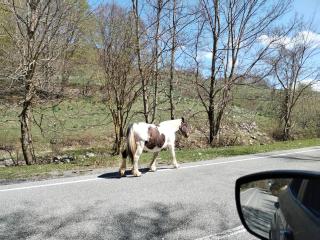 Livata House da Ines - 1