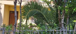 Domus Le Palme - Fano - 2