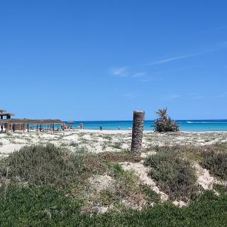 Villa Paco Djerba 2 suites et piscine privée - Taguermess - 1
