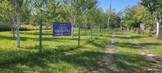 Villa Seferovka - 6