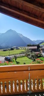 Landhaus Thaler - Mittelberg - 1