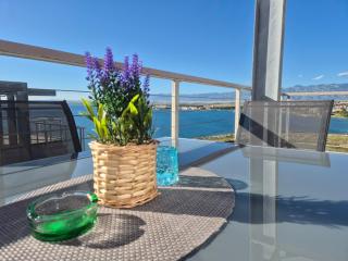 Penthouse apartment Jelena - Povljana - 0
