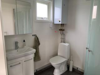 Hassels hus - 1