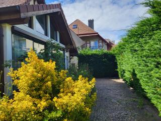 Vacance à 5 minutes de Genève - Ambilly - 9