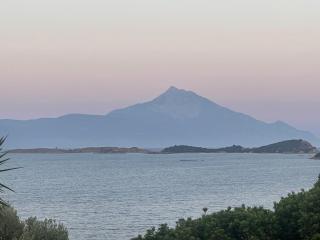 seaandolive - Amoliani - 5