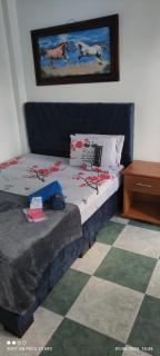 HOTEL NUEVO GALEX - 9