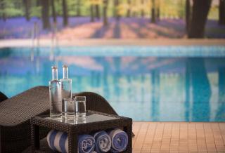 Forest Lodge Hotel - Lyndhurst - 7