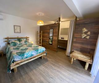 Gîte Studio bas de villa - Ti Bambou nature SPA-jacuzzi - Sainte Anne Guadeloupe - 8