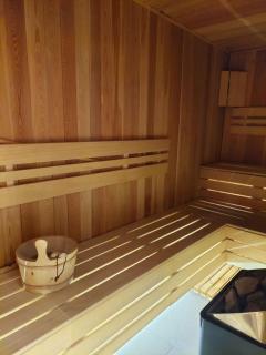 Unique Premium Penthouse with Spa and Gym in Dedinje - 5