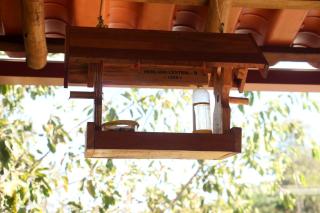 Sítio da dona Lia - 2