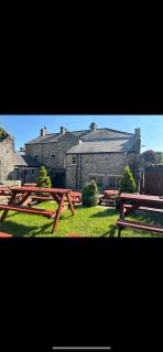 Bonny Moor Hen - Stanhope - 4