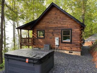 The Three Dog Night Cabin - Bryson City - 0