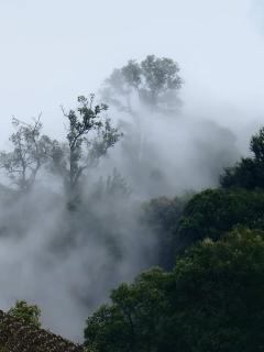 ต้นค้อ สวีทโฮม - Khao Kho - 8