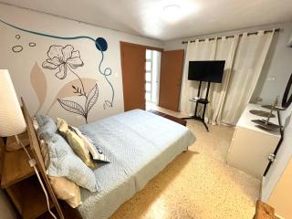 Bee Inn Puerto Rico Charming Urban Apartment in San Juan - San Juan - 8
