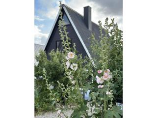 Anna Schlei Comfortable holiday residence - - 3