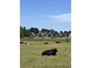 Anna Schlei Comfortable holiday residence - - 4