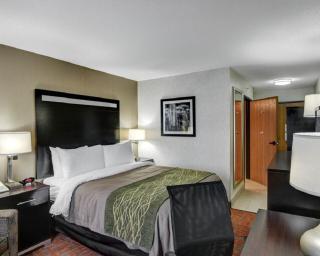 Comfort Inn - Concord - 9