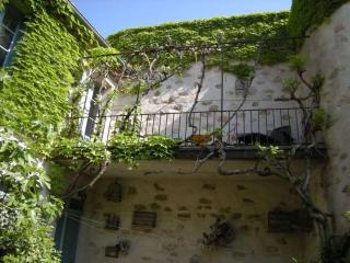 "Ancien Cafe" with courtyard - Camplong-dʼAude - 9