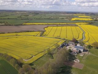 Holiday farm Fraulund - Holiday apartment Nielück - 2