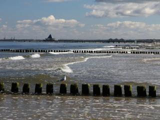 New Villa Ernst Apartment 1 - 2