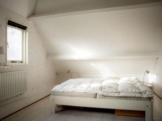 Vakantiehuis Huijsmansverhuur Type Premium de Luxe - Ouddorp - 1